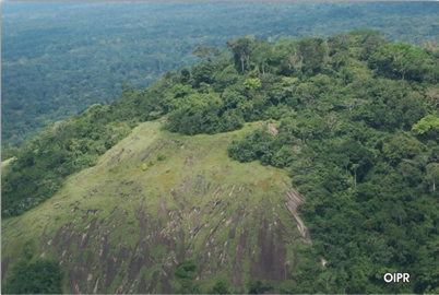 cote-divoire-6-foret