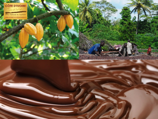 cote-divoire-7-cacao